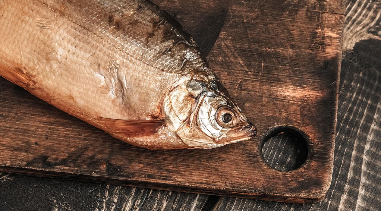 Пелядь (сырок): польза, вкус и калорийность рыбы