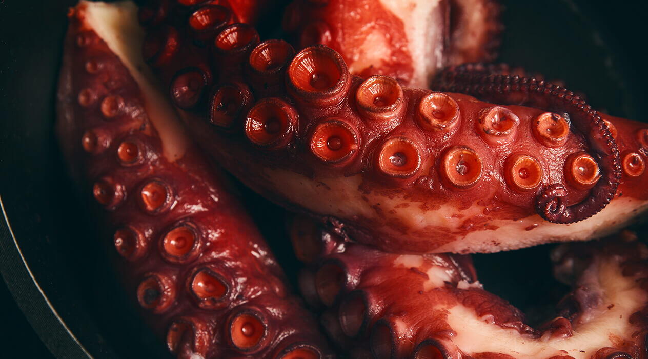 Почему стоит добавить мясо осьминога в рацион питания мужчин, женщин и детей