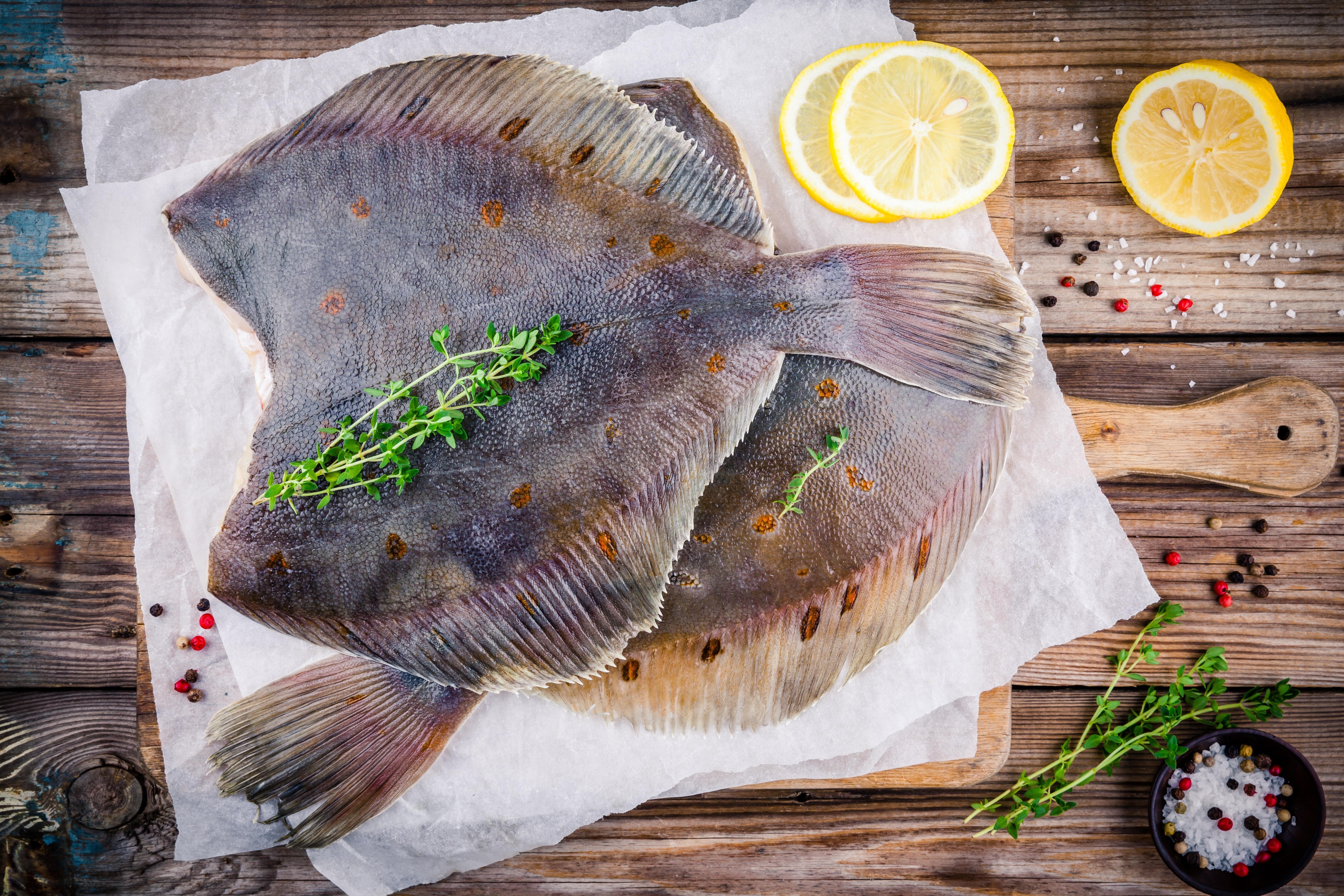 Рыба камбала: польза для организма, состав и калорийность.