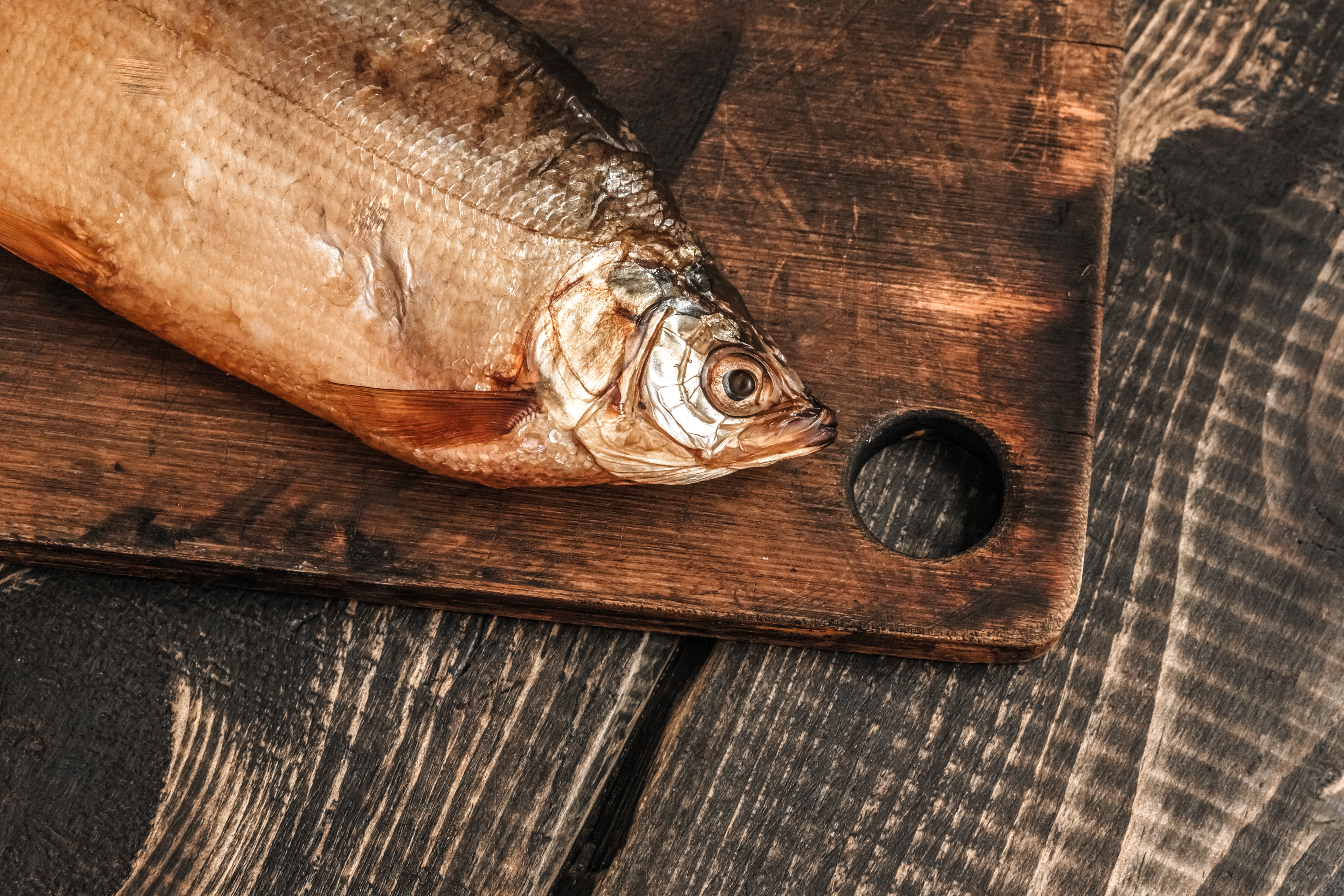 Пелядь (сырок): польза, вкус и калорийность рыбы