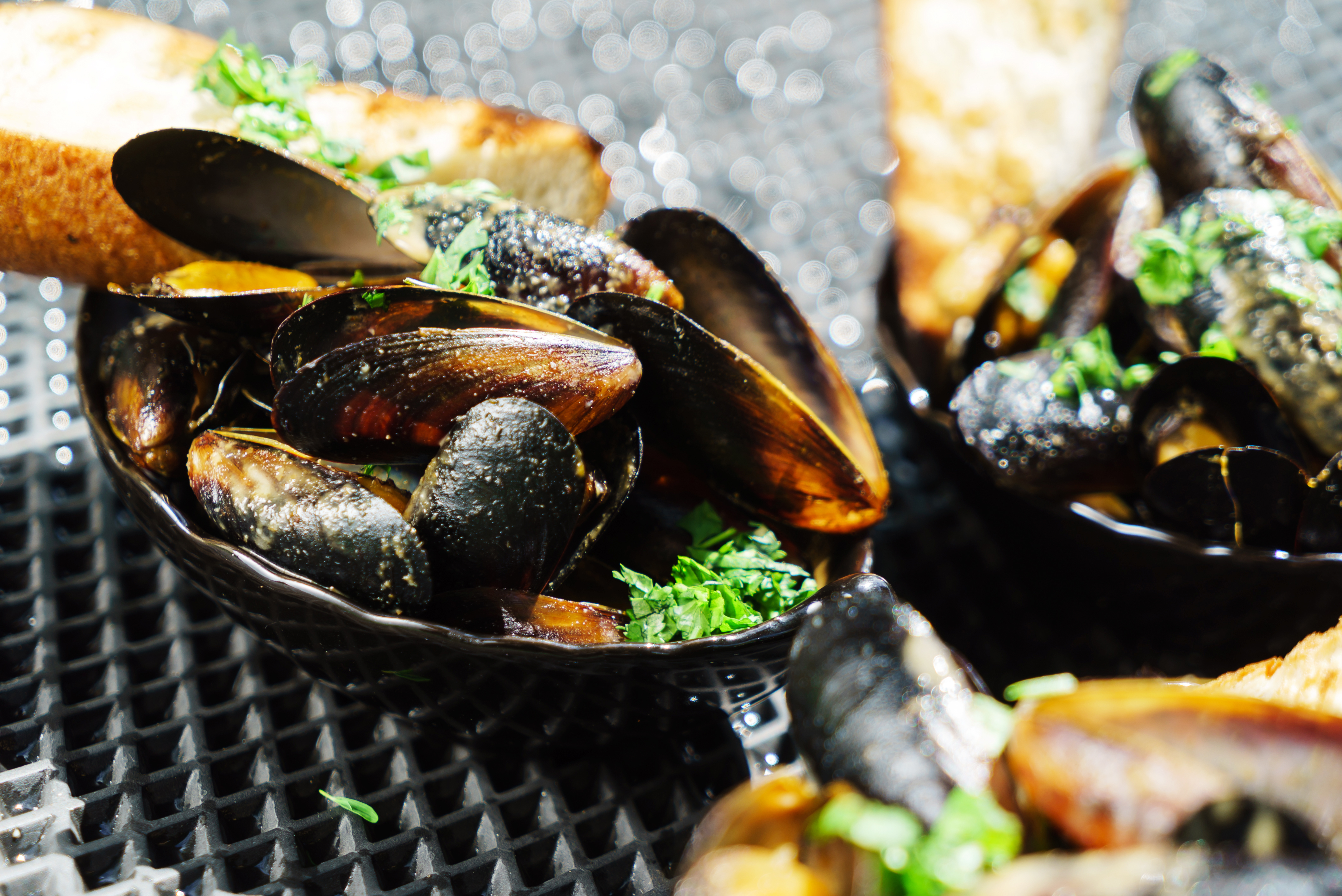 Как правильно выбрать мидии: свежие и замороженные