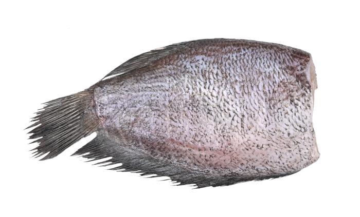 Палтус, 1000 г