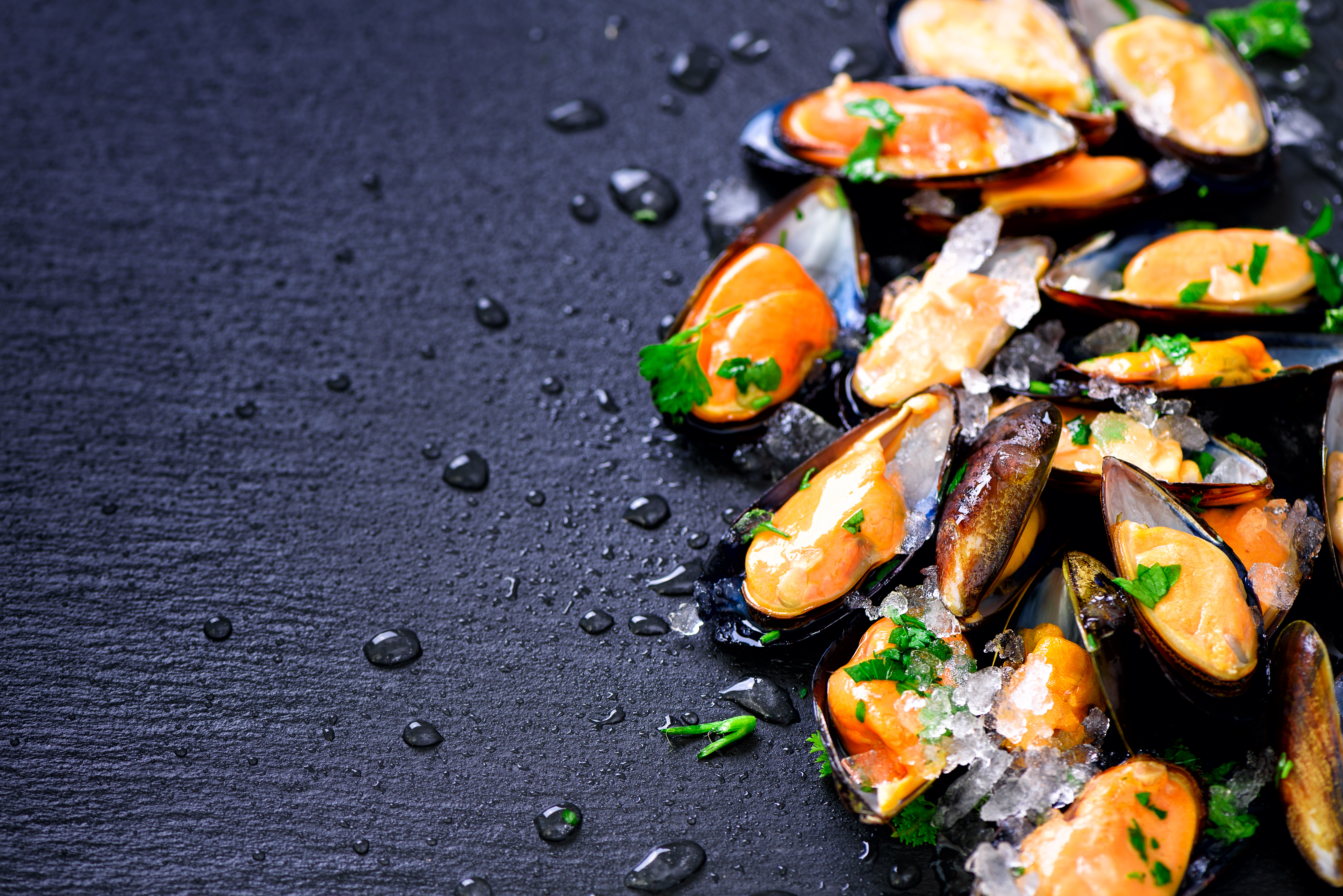 Мидии в диетическом питании: состав и польза для человека