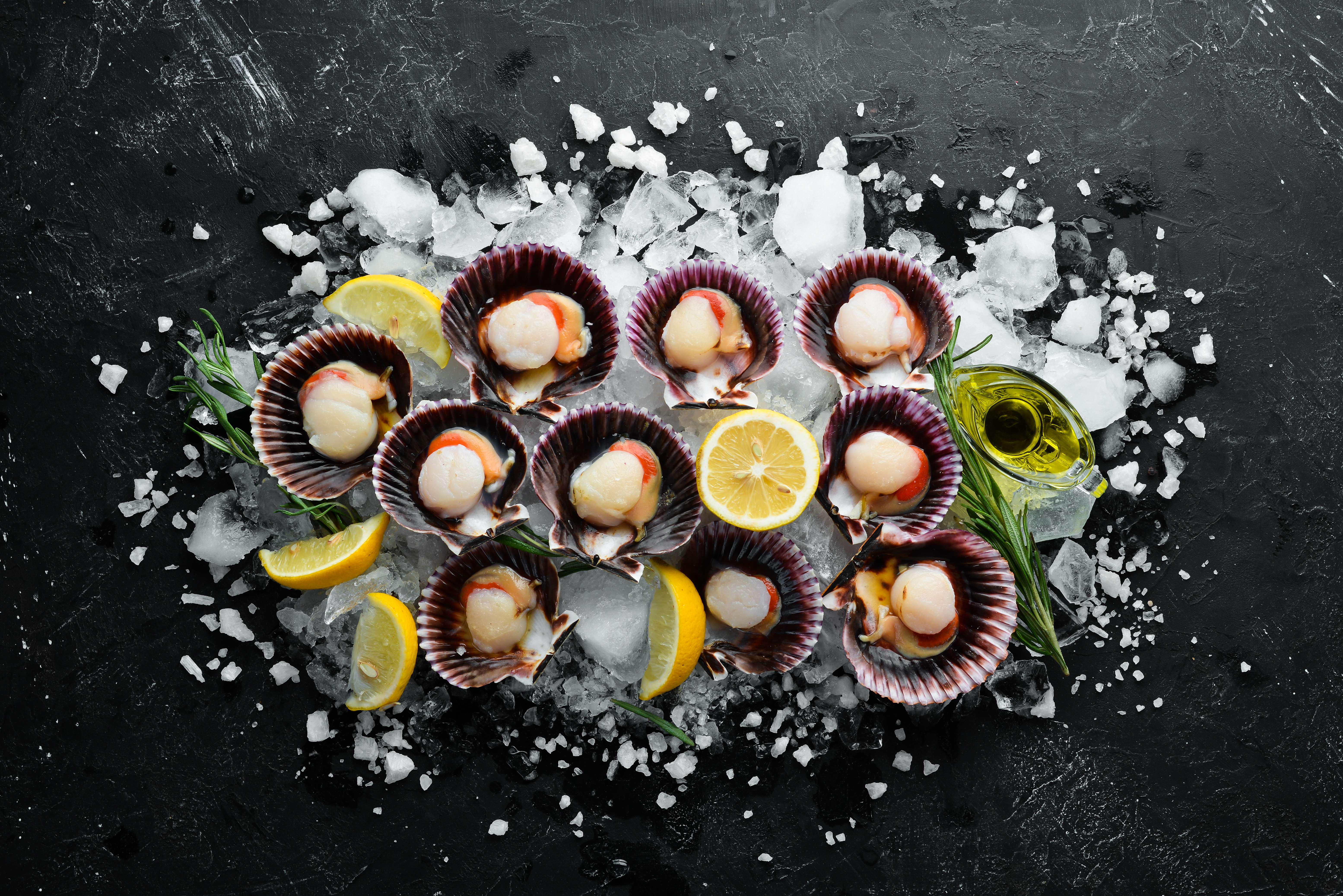 Всё о морских гребешках: польза, способы хранения, калорийность