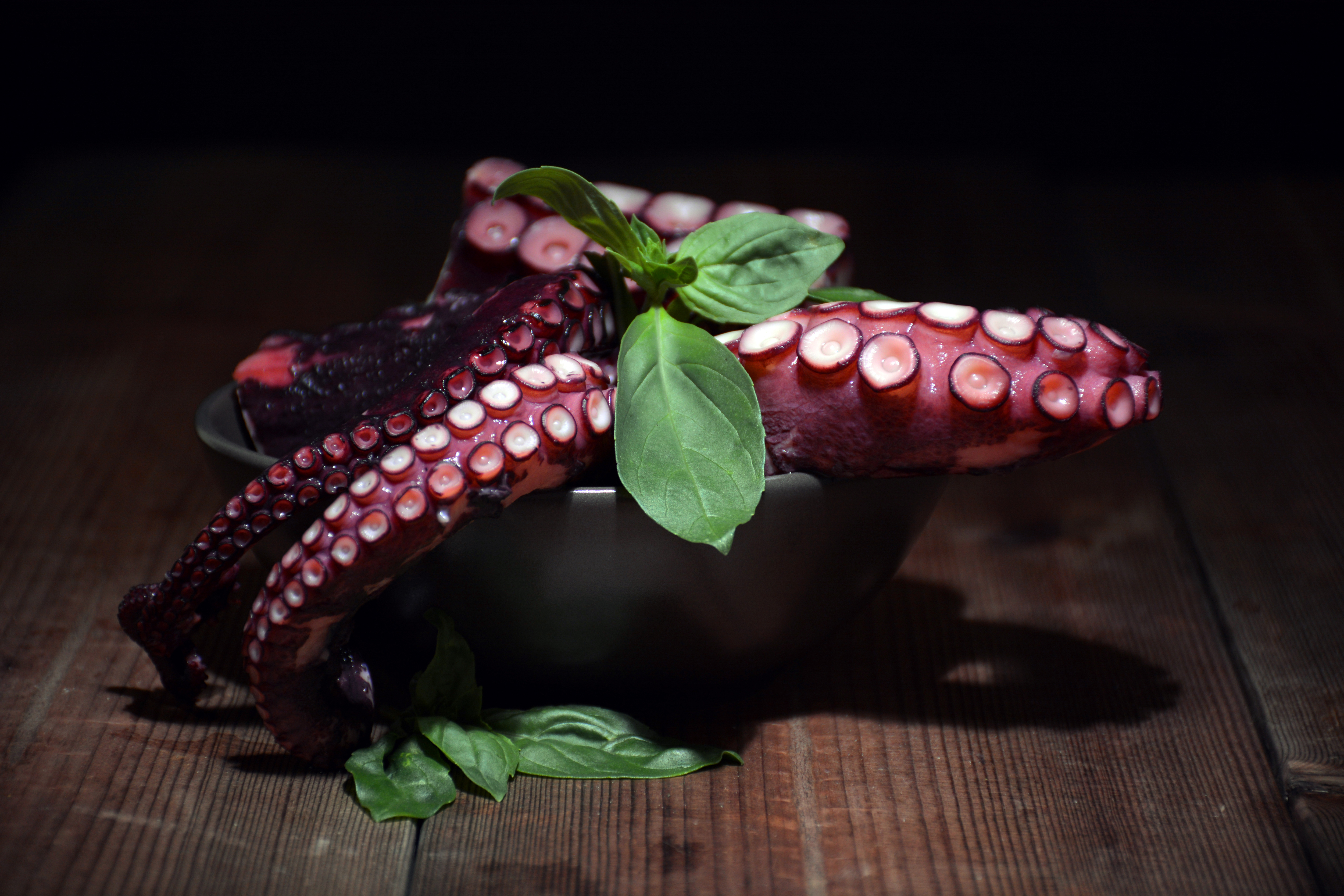 Выбираем осьминога с умом: секреты выбора и хранения