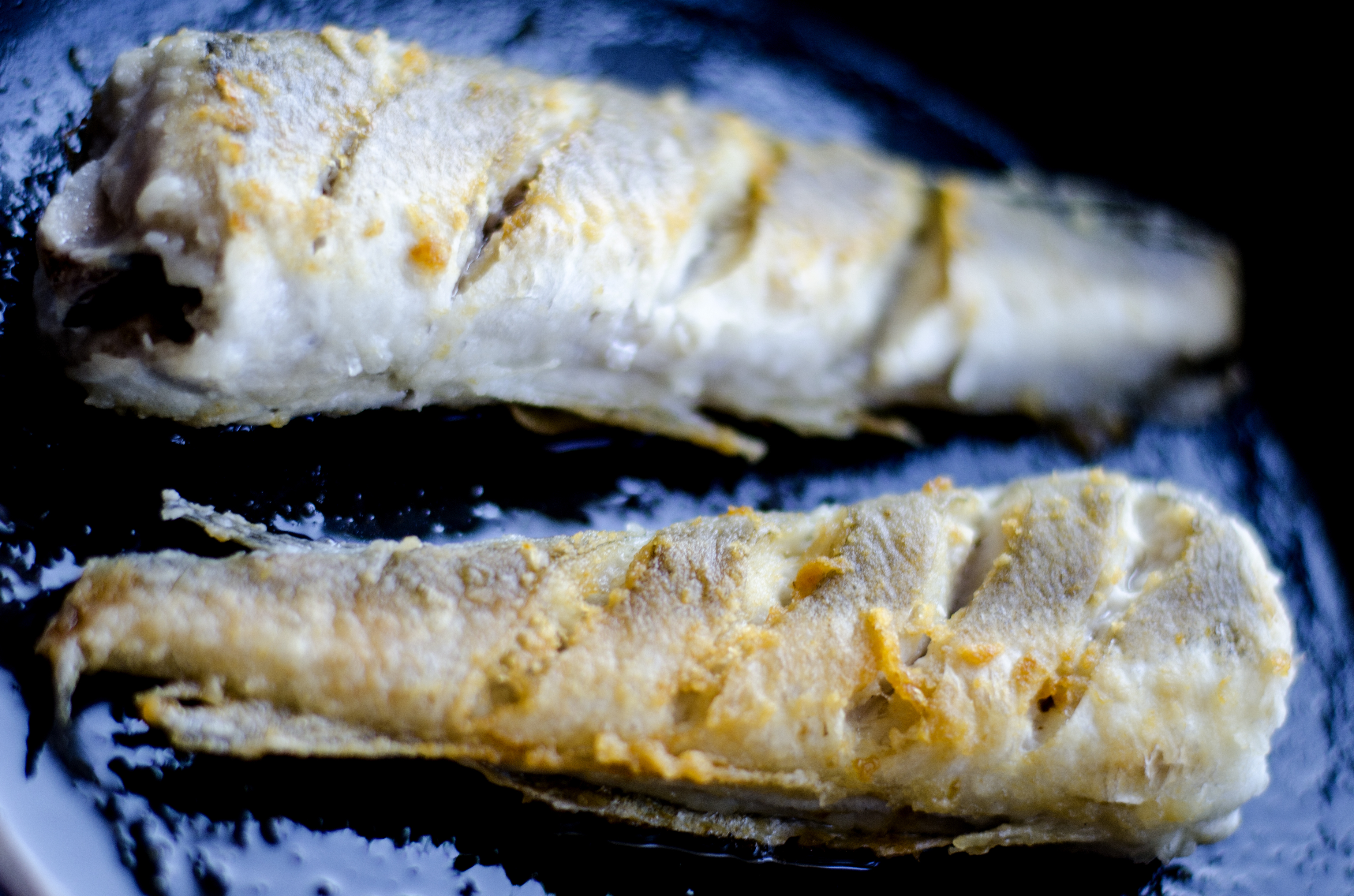 Навага: польза и особенности приготовления рыбы