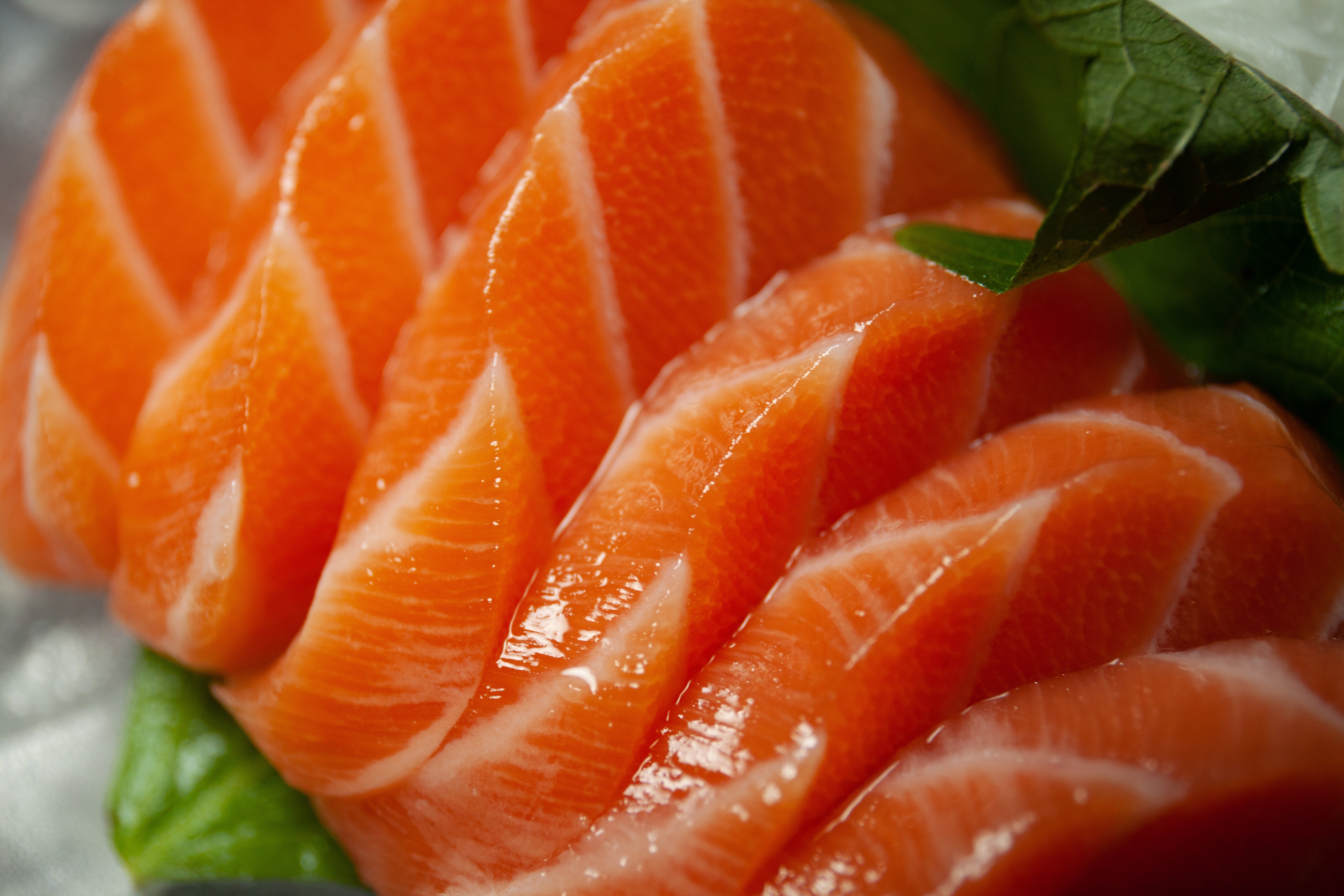 Рыба дикая и фермерская: в чем разница и какая более полезна 