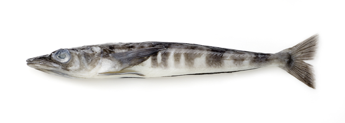 Ледяная, 1000 г