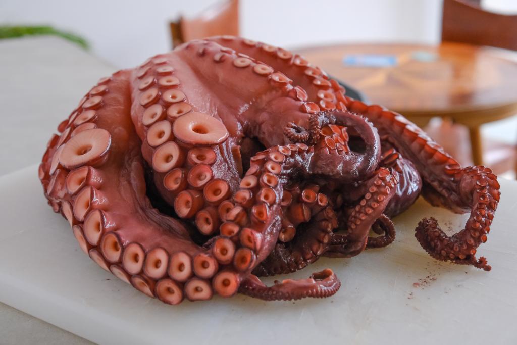 shutterstock_1888294633.jpg shutterstock_1888294633.jpg