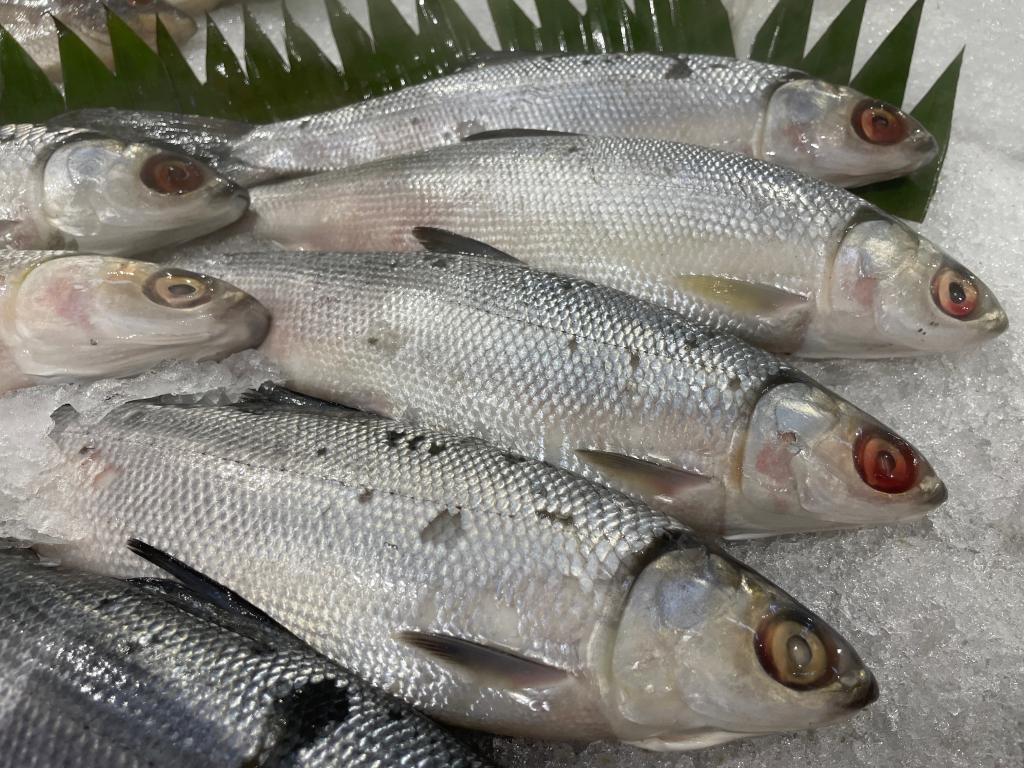 shutterstock_2576444851.jpg shutterstock_2576444851.jpg