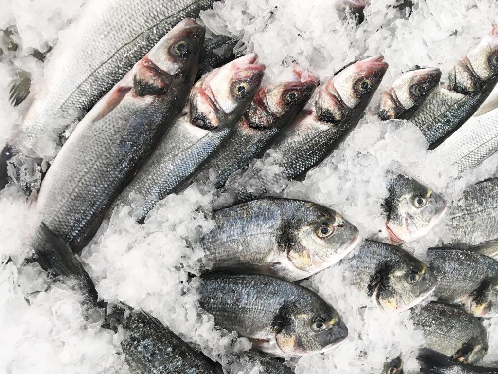 shutterstock_1536239951.jpg shutterstock_1536239951.jpg