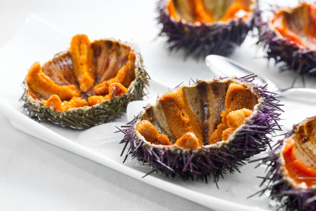 morskie-ezhi.jpg morskie-ezhi.jpg