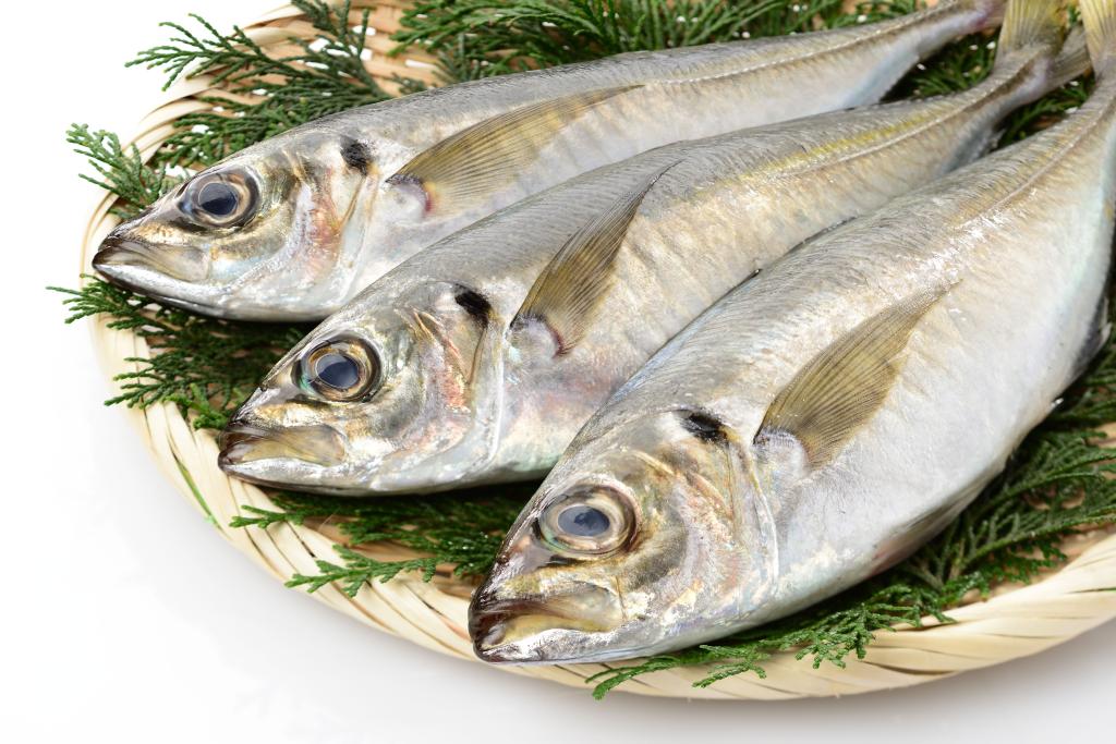 shutterstock_595908953.jpg shutterstock_595908953.jpg