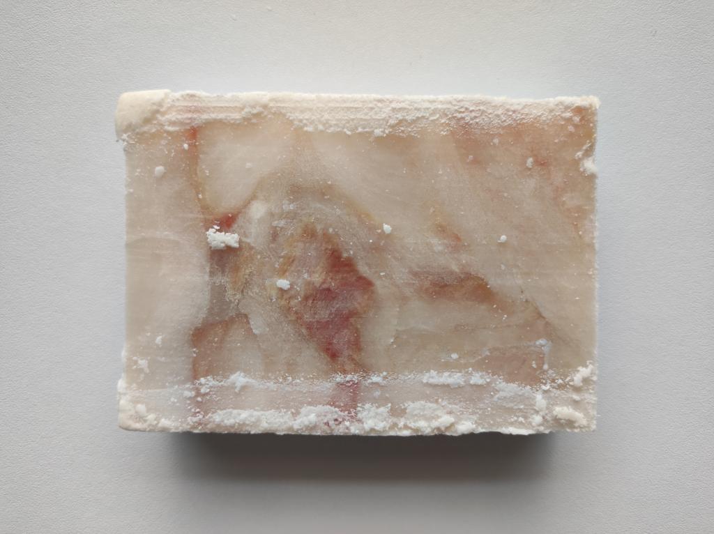 shutterstock_2612470537.jpg shutterstock_2612470537.jpg