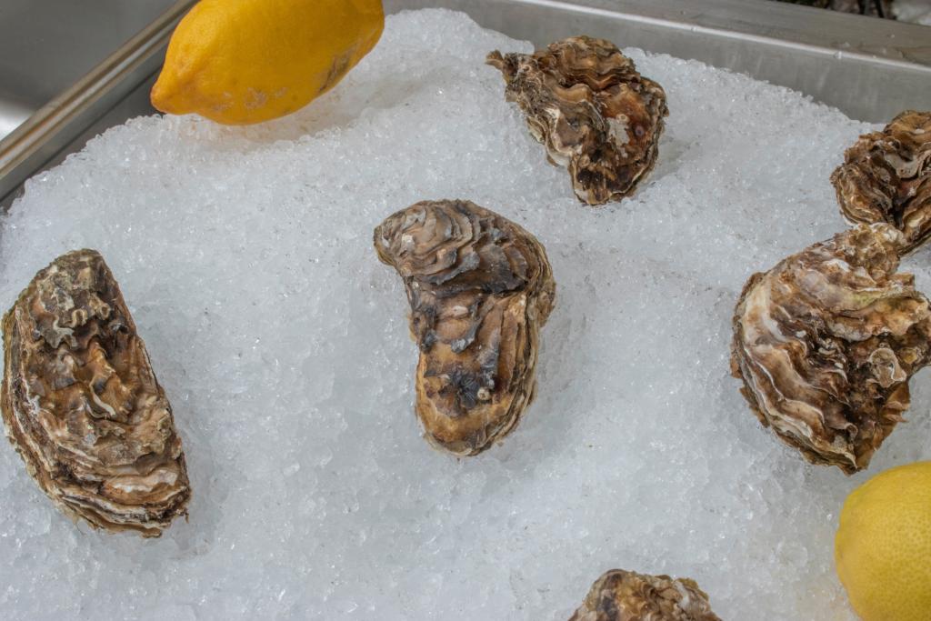 ustricy.jpg ustricy.jpg