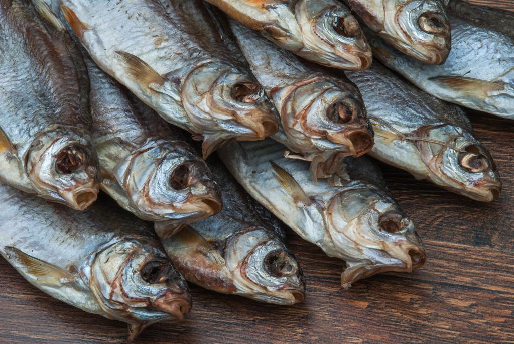 shutterstock_1504174925.jpg shutterstock_1504174925.jpg