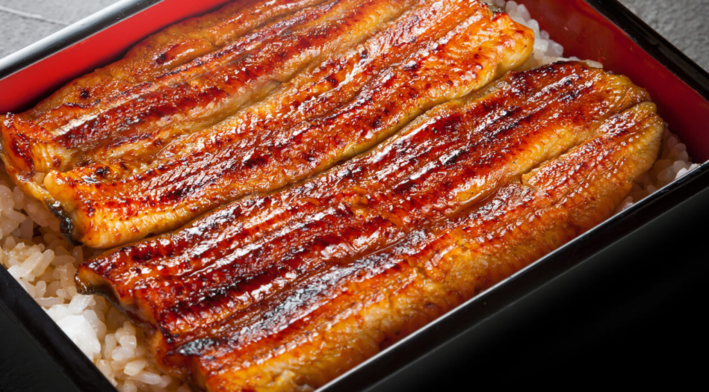unagi_1.jpg unagi_1.jpg