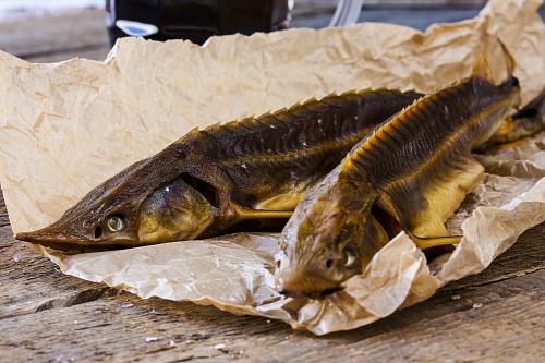 Горячего копчения